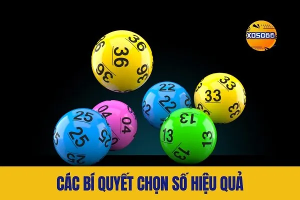 Các Bí Quyết Chọn Số Hiệu Quả