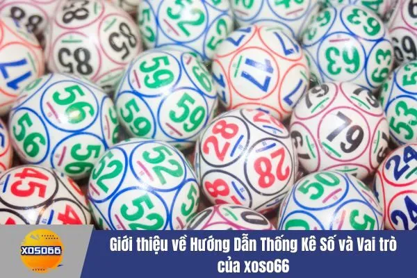 Hướng Dẫn Thống Kê Số