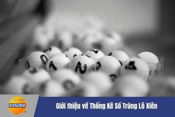 Thống Kê Số Trúng Lô Xiên