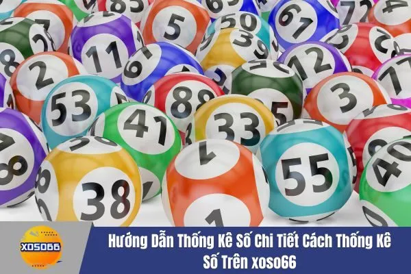 Hướng Dẫn Thống Kê Số