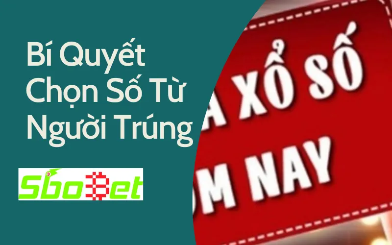 Bí quyết chọn số từ người trúng thưởng lớn miền bắc